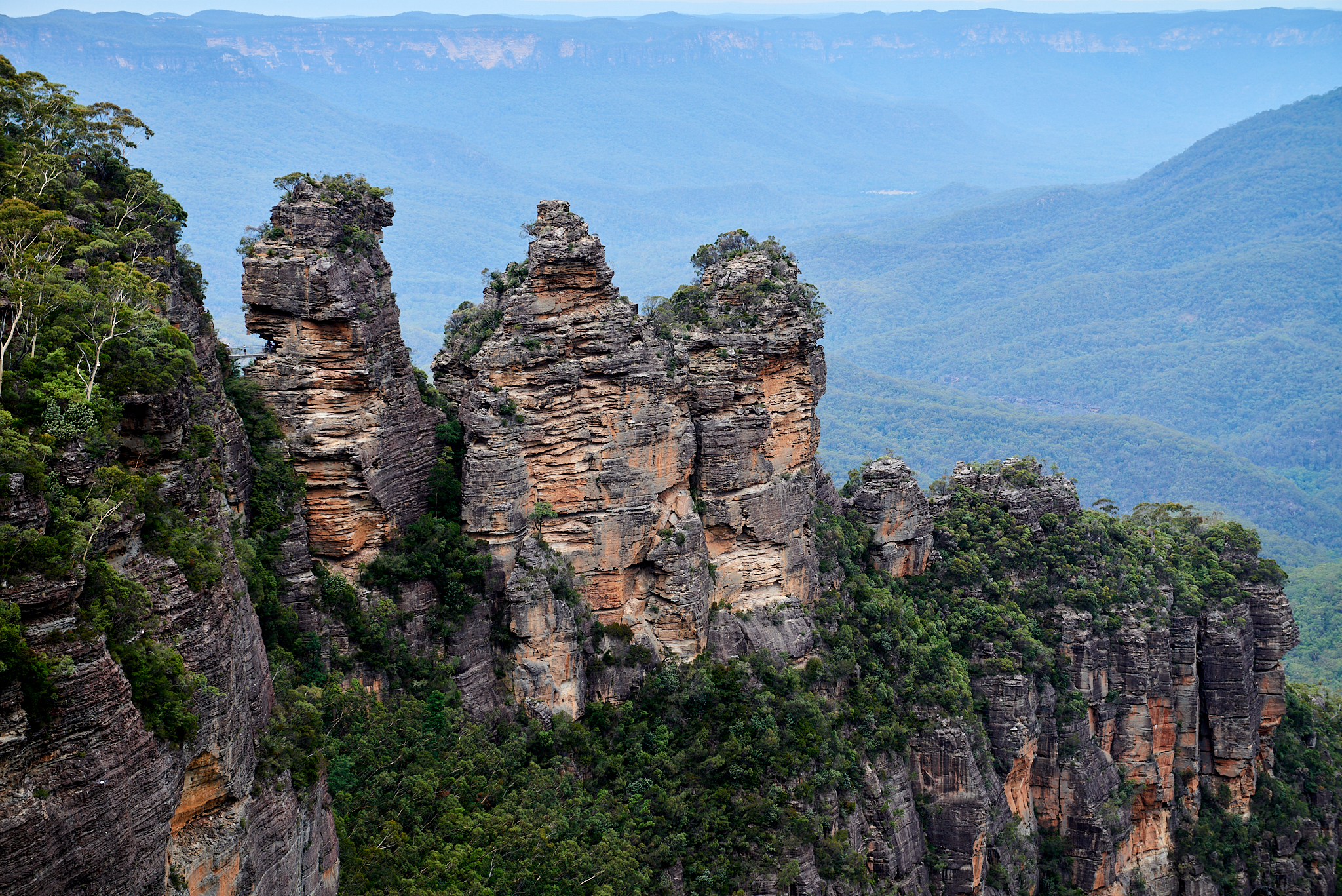 20180123 052 호주 블루마운틴스 국립공원